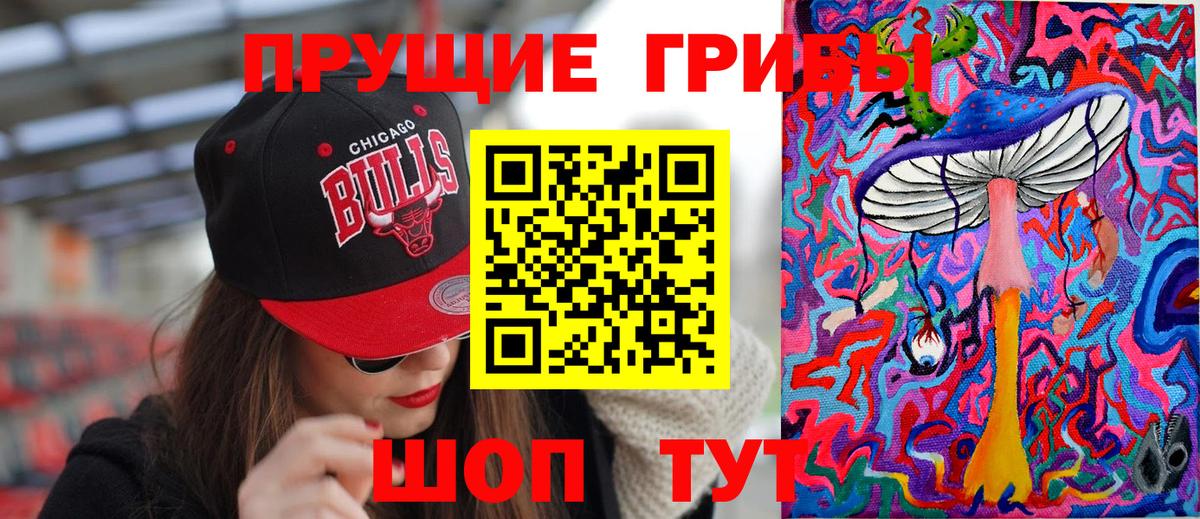 Псилоцибиновые грибы GOLDEN TEACHER  Псилоцибиновые грибы прущие грибы  Вход с VPN  Выборг 