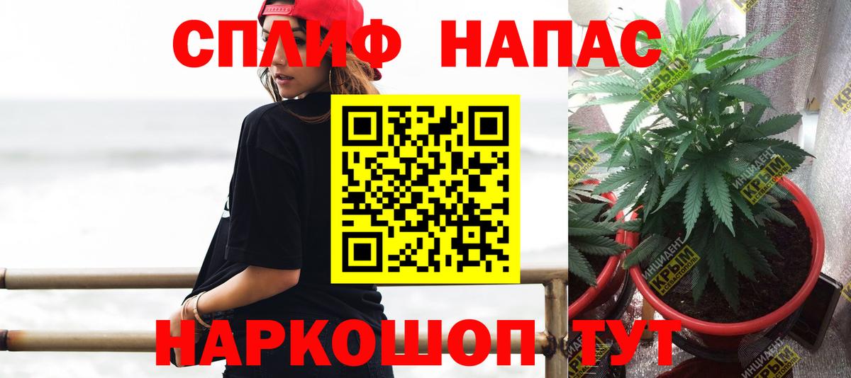 Выборг  МАРИХУАНА сатива  Вход с VPN  МАРИХУАНА SATIVA & INDICA  Конопля гибрид 